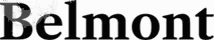 logo main